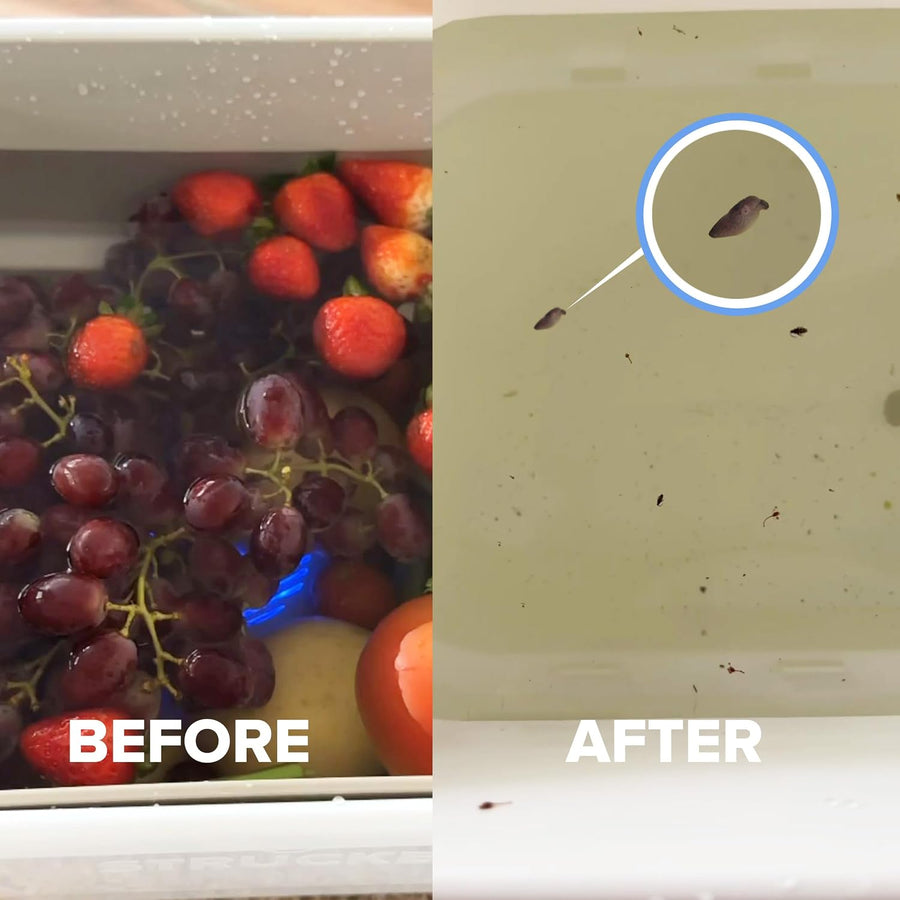 The First Kitchen Device <strong>That Breaks What Rinsing Can't</strong>